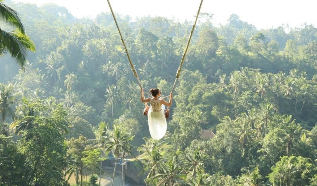 jungle swing