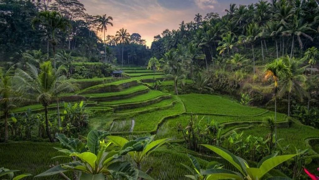 tegalalang